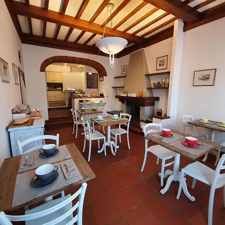 Vita Nova * Arezzo